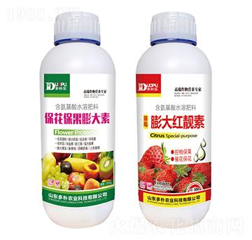 �������������+���t�n��-�����Ƽ�