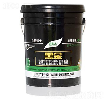 �ڽ�-�����Ƽ�