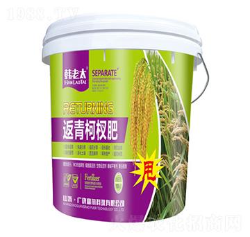 返青柯杈肥-韓老太-富爾科技