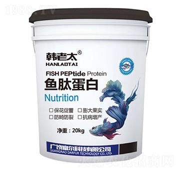 �~(y��)�ĵ���-�n��̫-�����Ƽ�