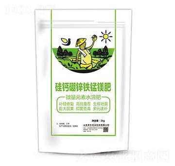 ���}���\�F�i�V��-�����Ƽ�