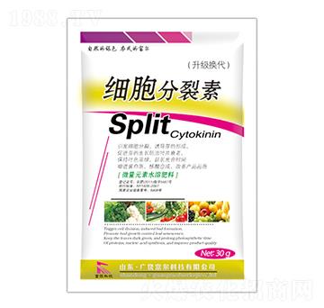 ��(x��)��������-�����Ƽ�