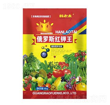 ���_˹�t���-�n��̫-�����Ƽ�