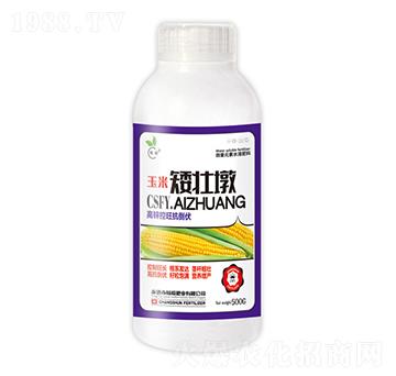 500g���װ��Ѷ�-��˲