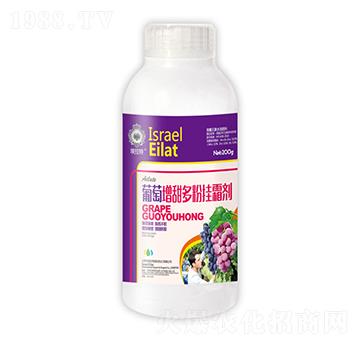 ���������ے�˪��-��˲