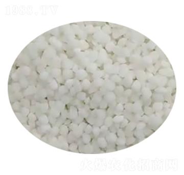 �����@�w��-���M(m��n)̩-��ɭ�ʘI(y��)