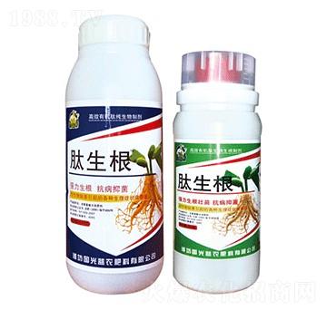 ������-�������r(n��ng)