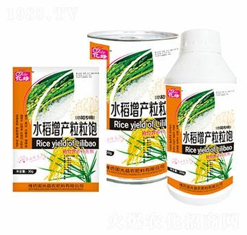 水稻增產(chǎn)粒粒飽-國光益農