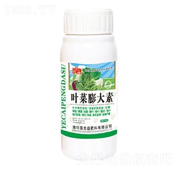 葉菜膨大素-國光益農(nóng)