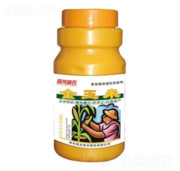 金玉米-國(guó)光益農(nóng)