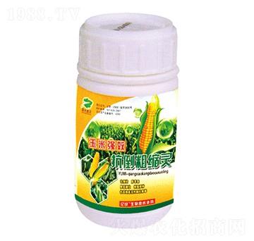 ���׿����ֿs�`-�������r