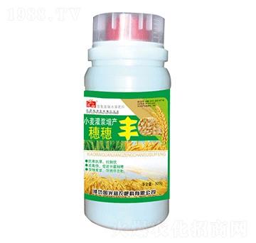 С�����{���a�����S-�������r