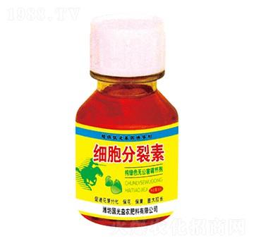 60g��(x��)��������-��(gu��)�����r(n��ng)