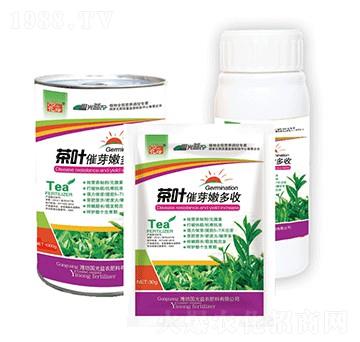 茶葉催芽嫩多收組合-國光益農(nóng)