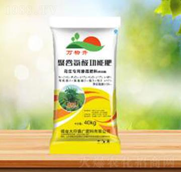 聚谷氨酸功能肥-盛華農(nóng)業(yè)