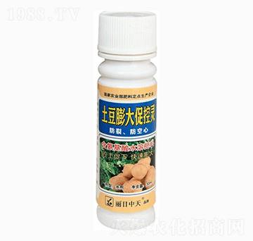 土豆膨大促控靈-中天肥業(yè)