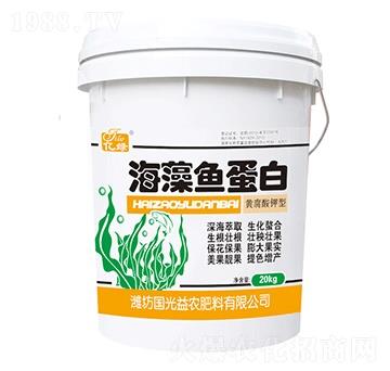 �S������ͺ����~����-��(gu��)�����r(n��ng)