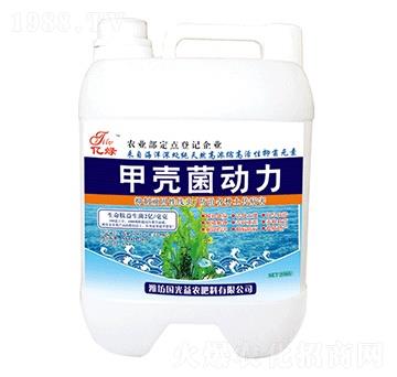 甲殼菌動力（桶）-國光益農(nóng)