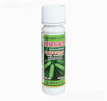 �����J���G��ֱ�`-����ʘI(y��)
