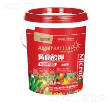 �S�����-���_(d��)