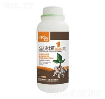 ��������1̖(h��o)-���_(d��)