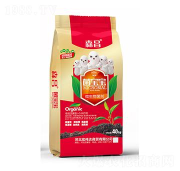 5�|΢�������-������-ɭ��-�ꂥ�_(d��)