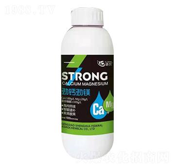 ���}���V-�Z(y��)�r(n��ng)-���A(li��n)��