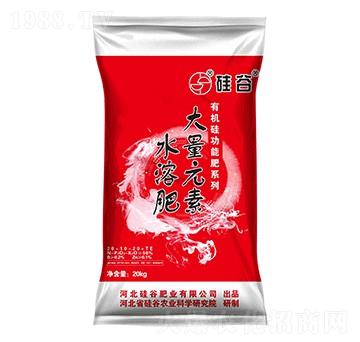 有機(jī)硅大量元素水溶肥料20-10-20+TE-硅谷化工