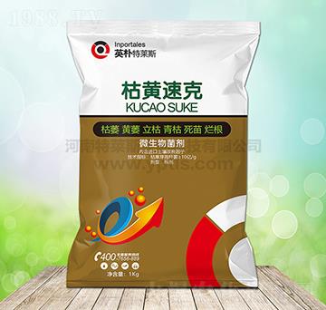 ΢�������-���S�ٿ�-Ӣ�����R˹