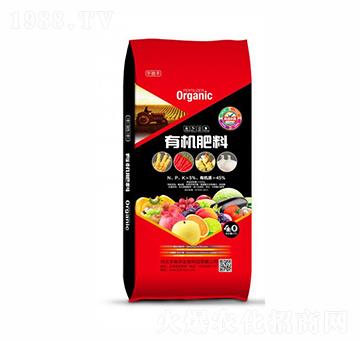 �ЙC��-�S�Y�S����