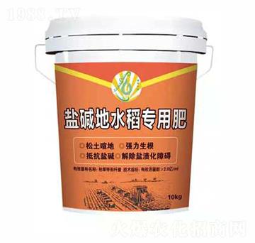 �}�A��ˮ������-��ƽ��̼