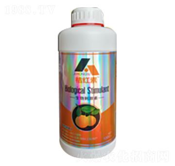 �ټt��-�ն���