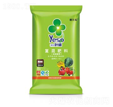 ���������-�~ʢ����