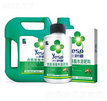 土豆專用含氨基酸水溶肥料-葉盛生物