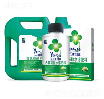 西葫蘆專用含氨基酸水溶肥料-葉盛生物