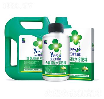 水稻專用含氨基酸水溶肥料-葉盛生物