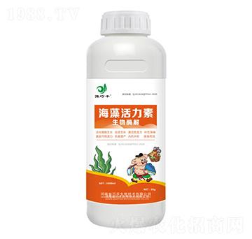 海藻活力素（瓶）-豫巧豐