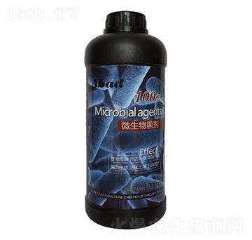 100�|΢�������-��ؐ��-�Ɲ��r��