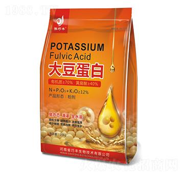 �󶹵���-ԥ���S