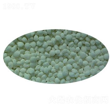 �w������ԭ��-����