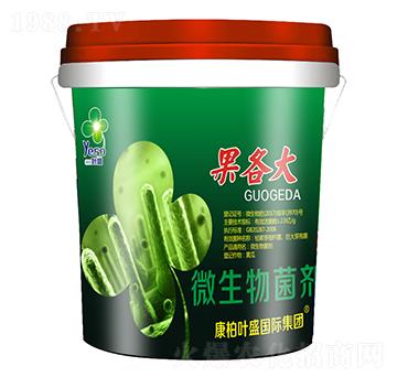 ΢�������-������-�~ʢ����