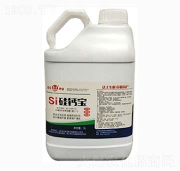 ���}��-̩��ʘI(y��)