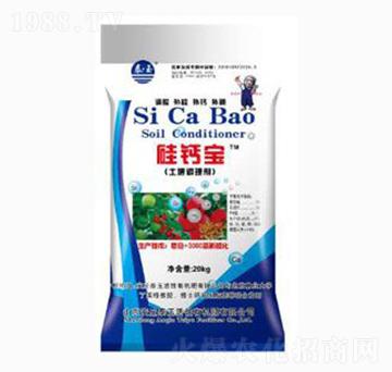 ���}�������{(di��o)�턩-̩��ʘI(y��)