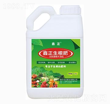 ������-����