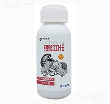 �ռt�~��⛣�-�к����