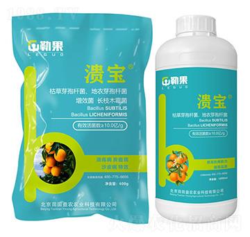 ����-�չ�-�������r(n��ng)