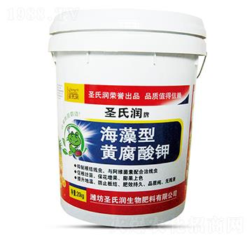 �������S�����-ʥ�ϝ�