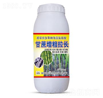 500ml�����������L