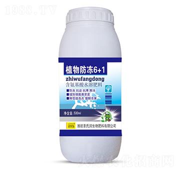 ֲ�����6+1-ʥ�ϝ�