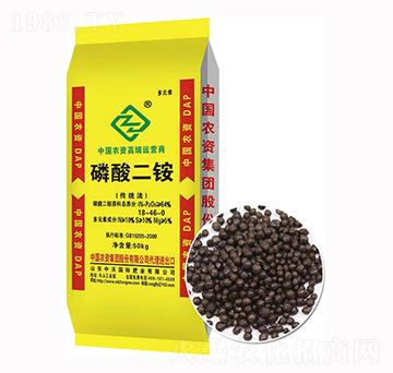 ������@-����